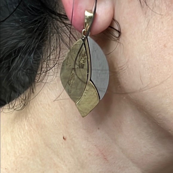 Elegant Gold and Brown Leaf Earrings - Picture 8 of 9